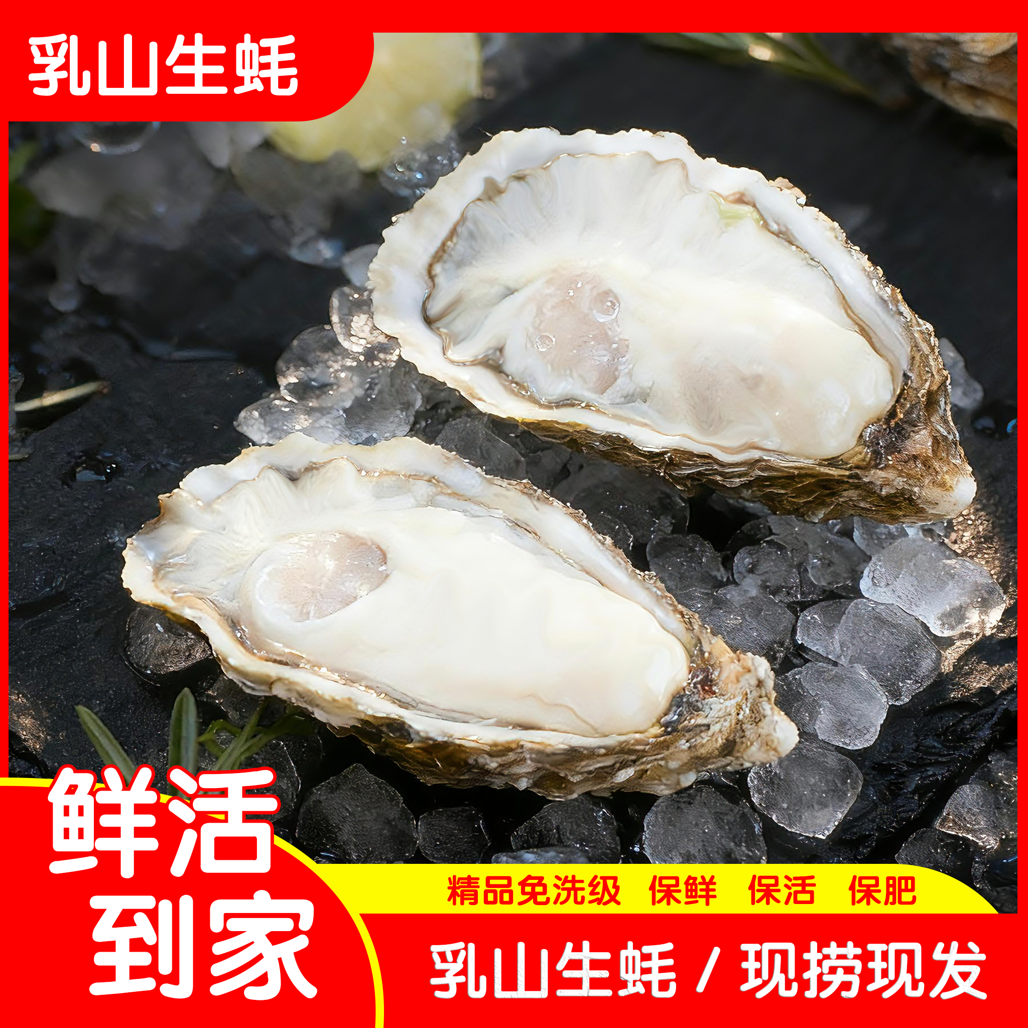 【大蚝】正宗乳山精品生蚝壳薄肉肥刺身免洗级新鲜牡蛎海鲜5斤