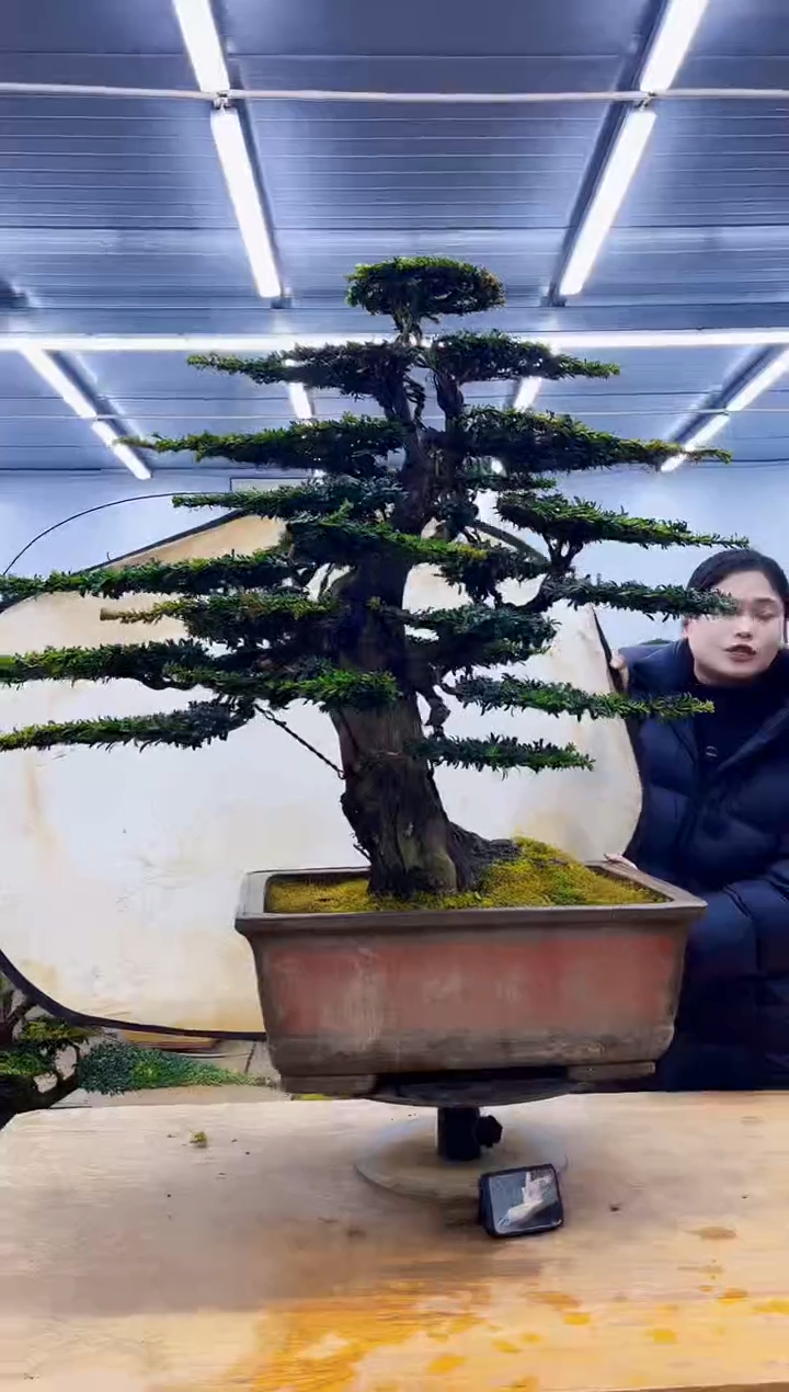 无花朵一物一拍·所见即所得