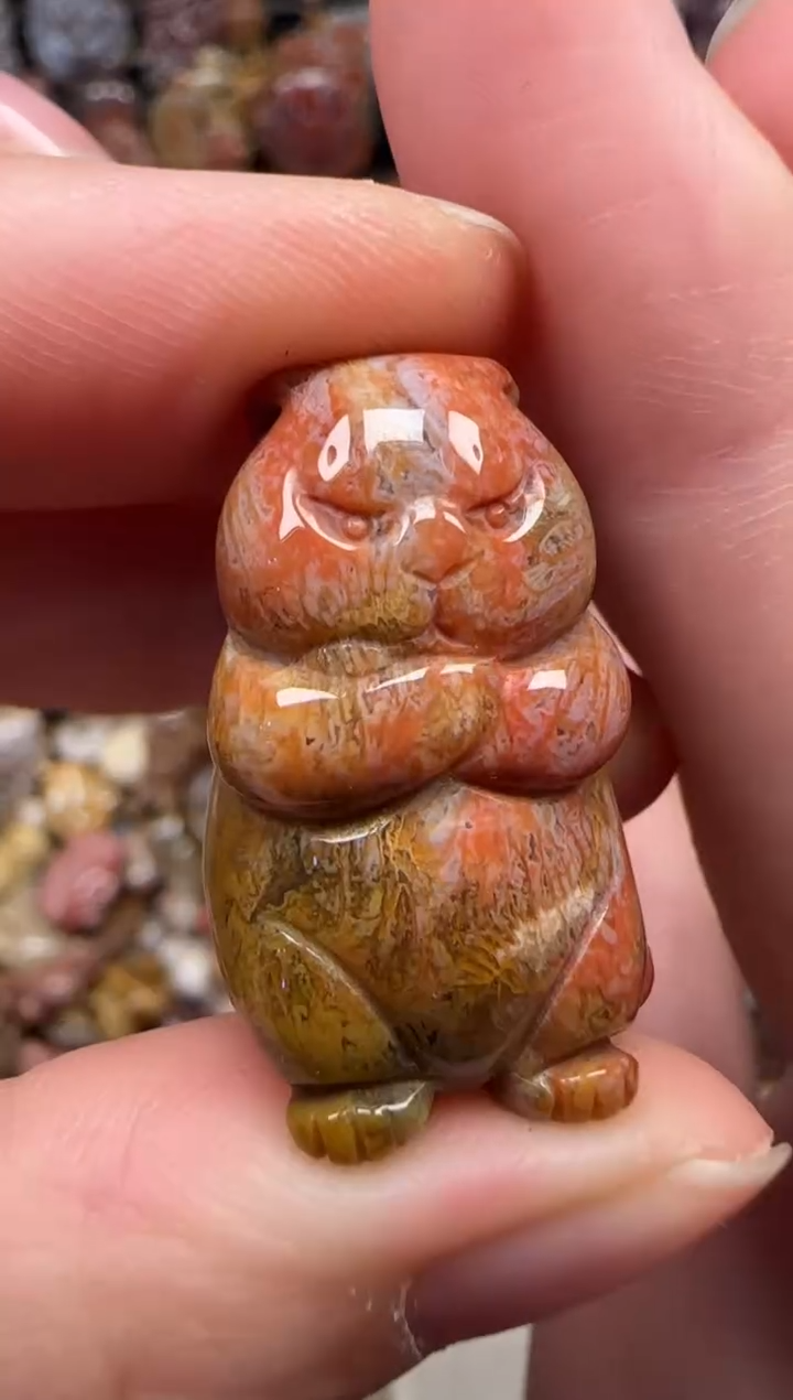 颈饰未镶嵌硅化珊瑚（珊瑚玉）625