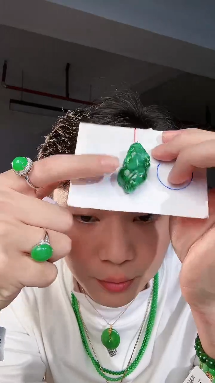 【闪购商品】翡翠颈饰18K金镶嵌缅料A货翡翠/支持复检/一件