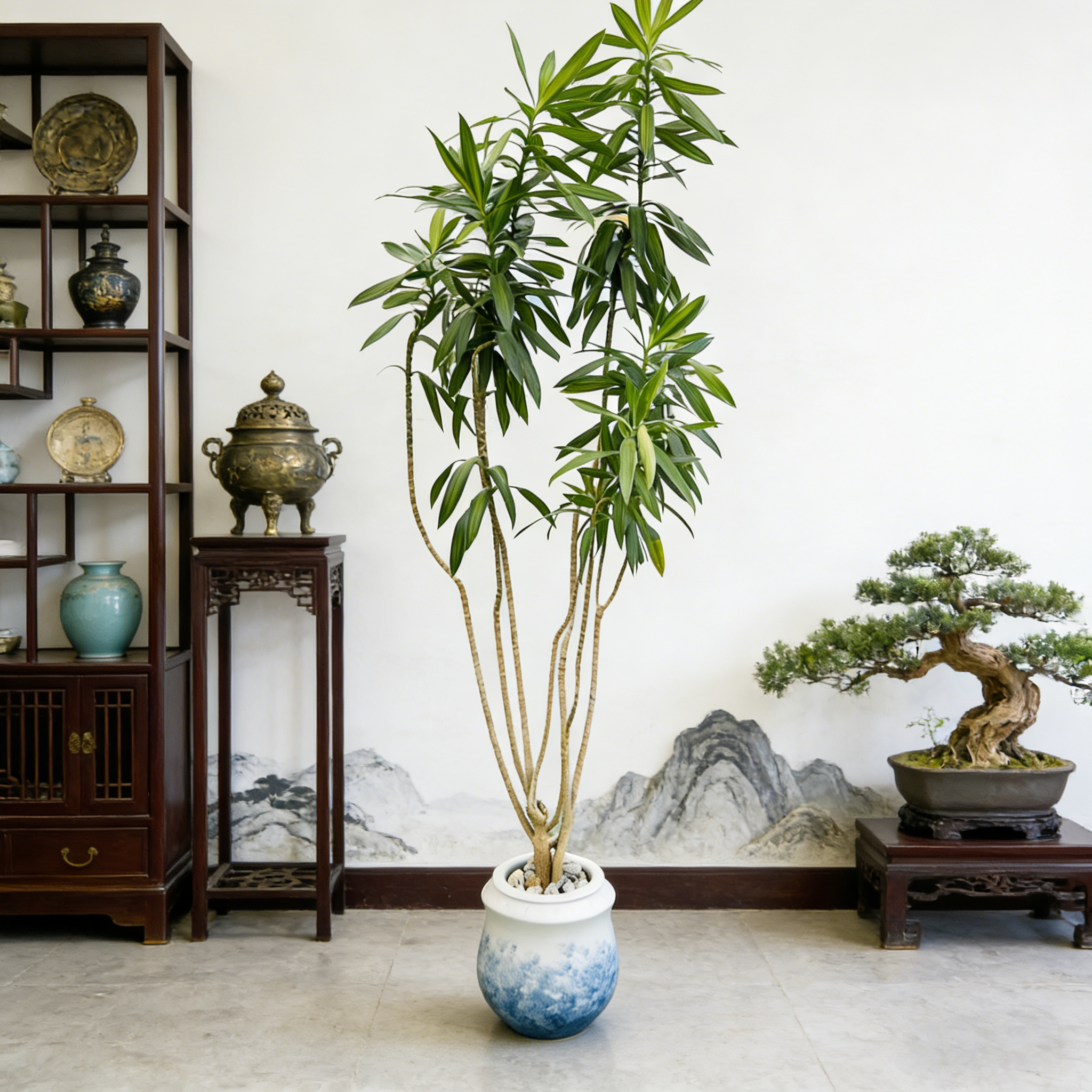 水榭花乡百合竹水培绿植落地家居好养护简约四季常青