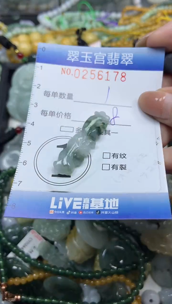 颈饰未镶嵌翡翠闪购C0256178