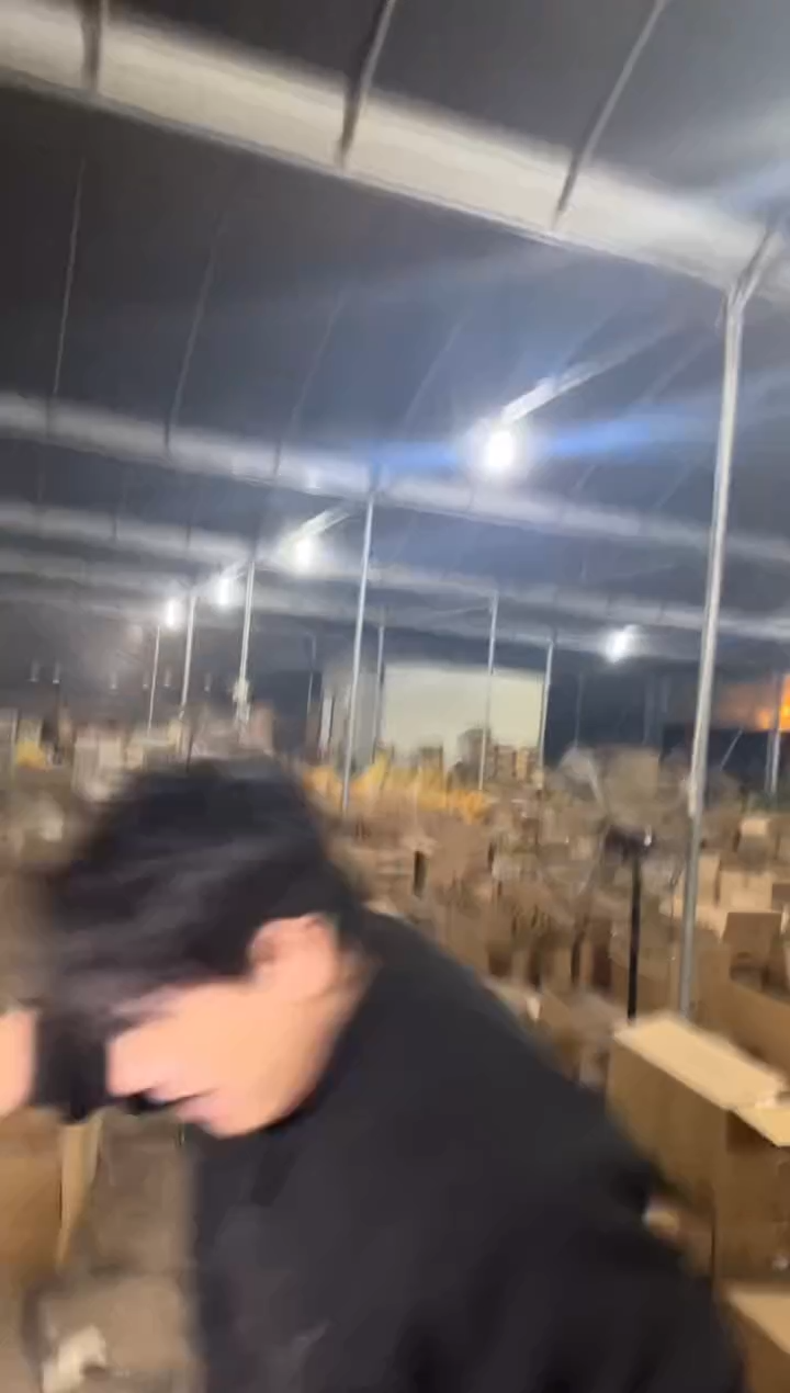 高20cm+ 红太阳【带根】