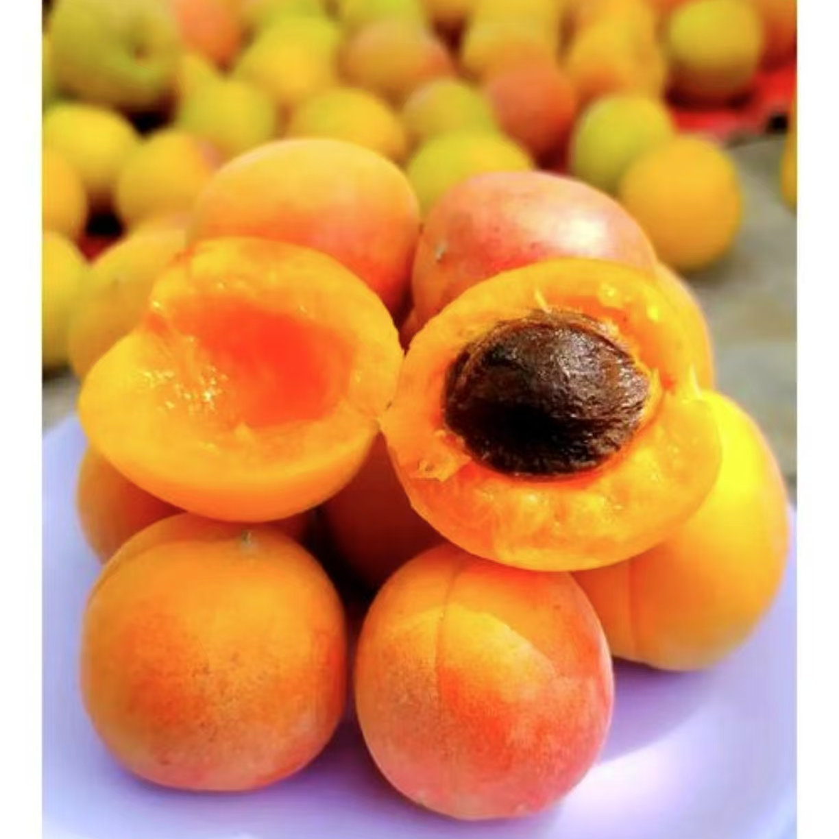 2斤【吊干杏】香脆可口，紧实劲道，甜而不腻杏同城配送杏子同城送新疆维吾尔自治区