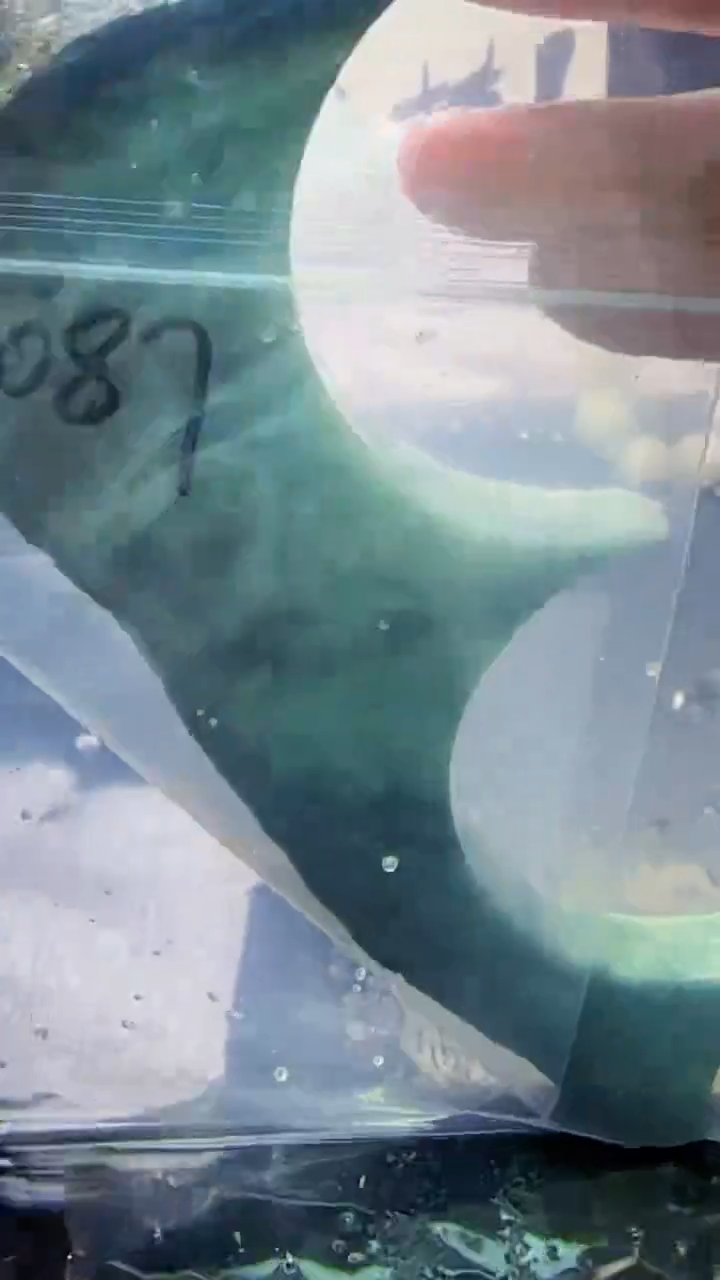 未镶嵌挂件翡翠胖*爷087天然A货翡翠