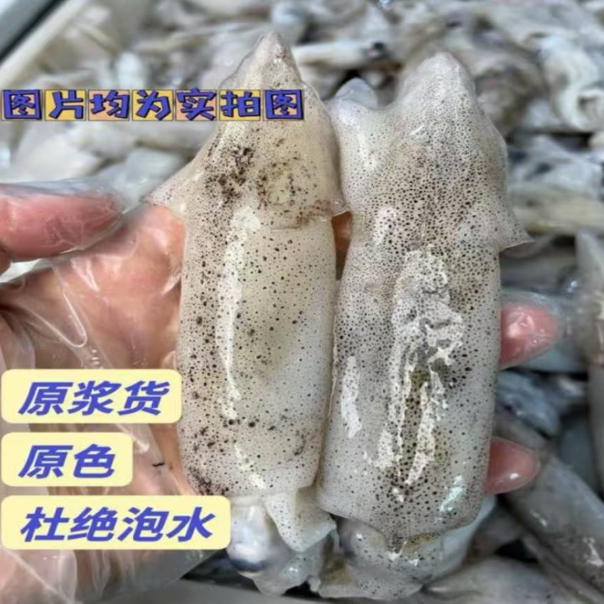 笔管鱼海兔 新鲜速冻发货无添加不泡药 4斤顺丰包邮 