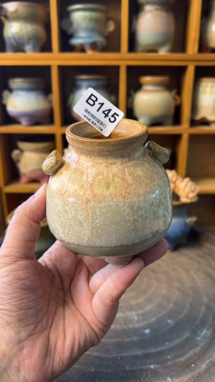 145 内口5【多肉花盆多肉盆】