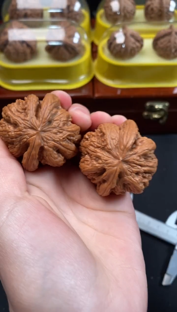 把件文玩核桃大粗筋41尺c799