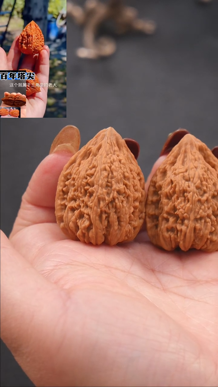 【闪购商品】文玩核桃把件31蚂蚁王金字塔