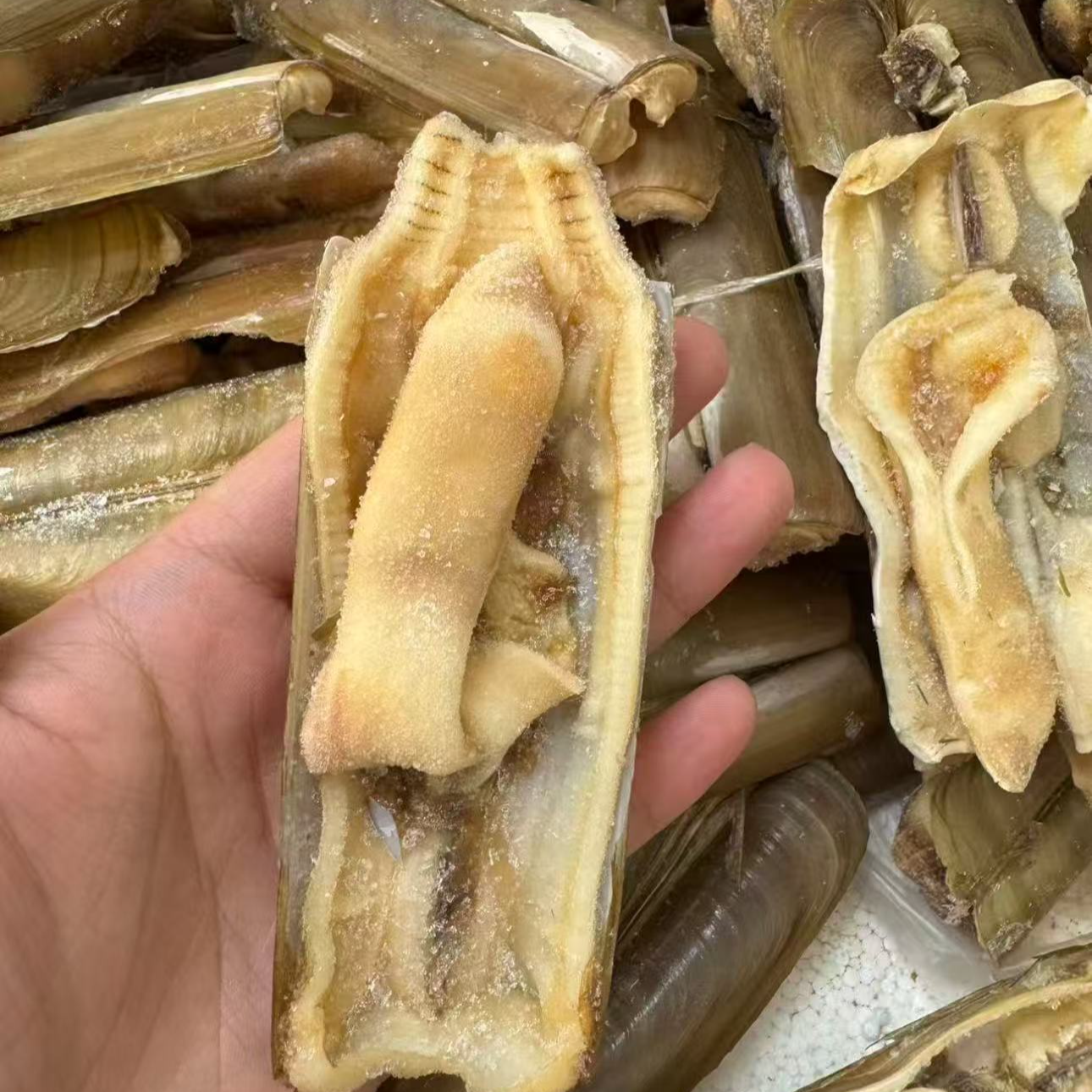  冷冻竹节蛏3斤装，有大有小嫌小勿拍运输中有碎壳正常