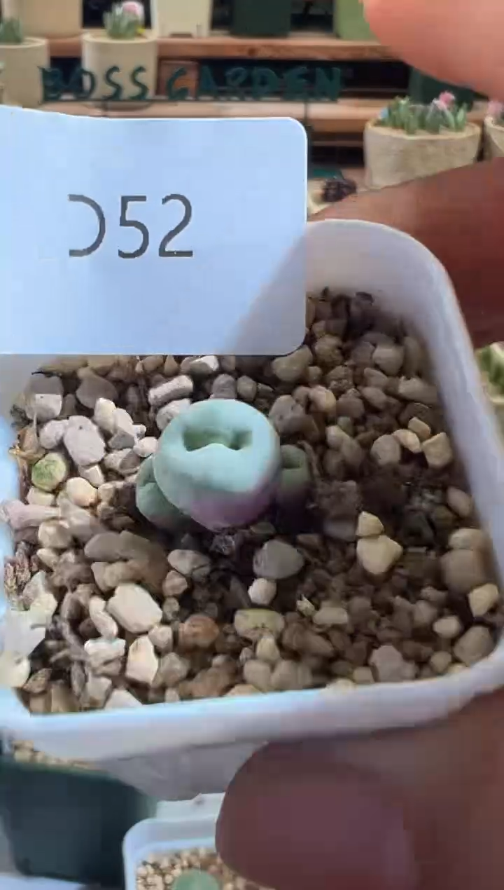 52........................................