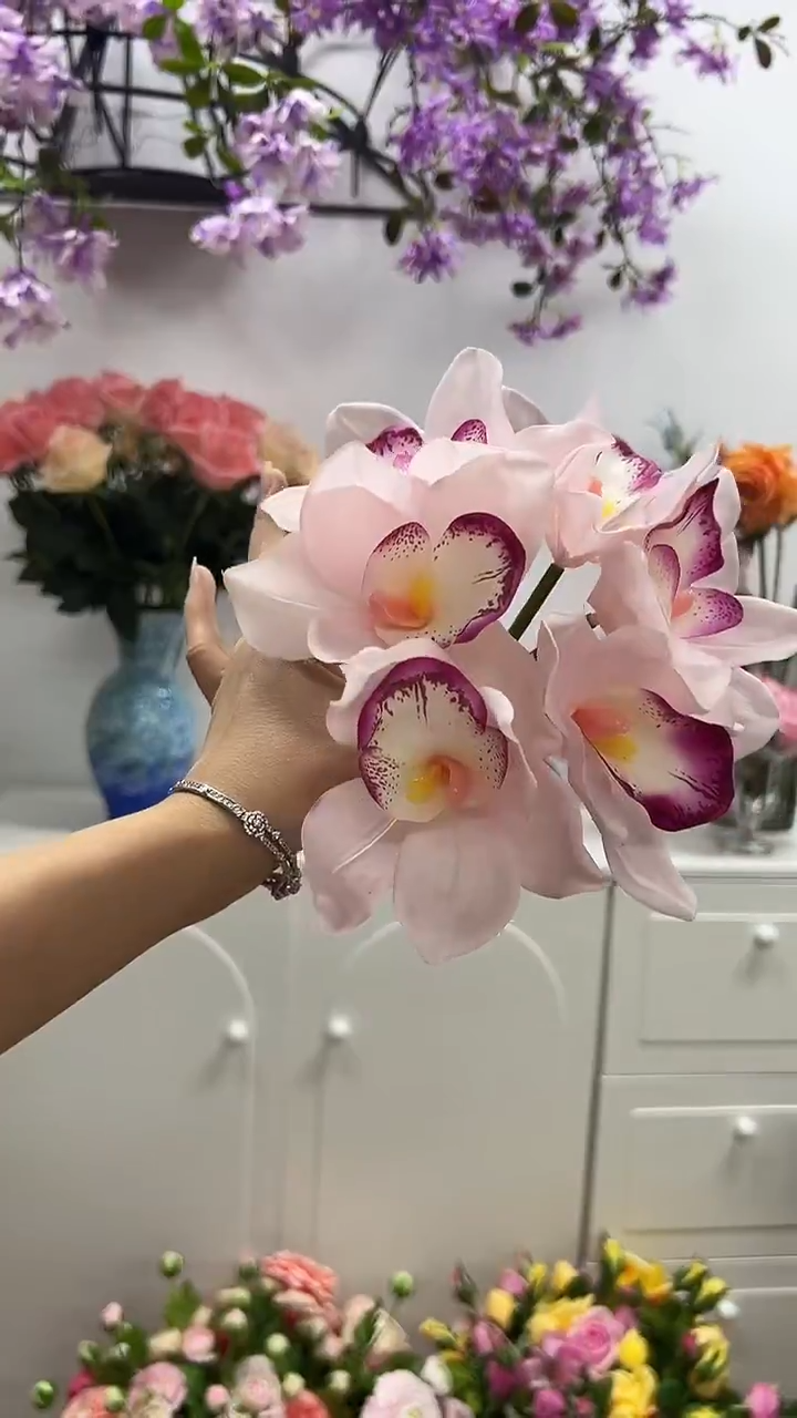 6枝浅粉手感保湿蕙兰