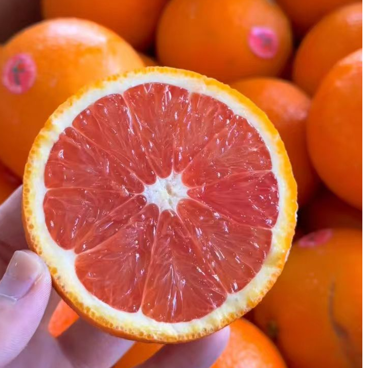 当季稀有品种澳洲进口血橙 新鲜水果九甜一酸 顺丰包邮 坏果包赔