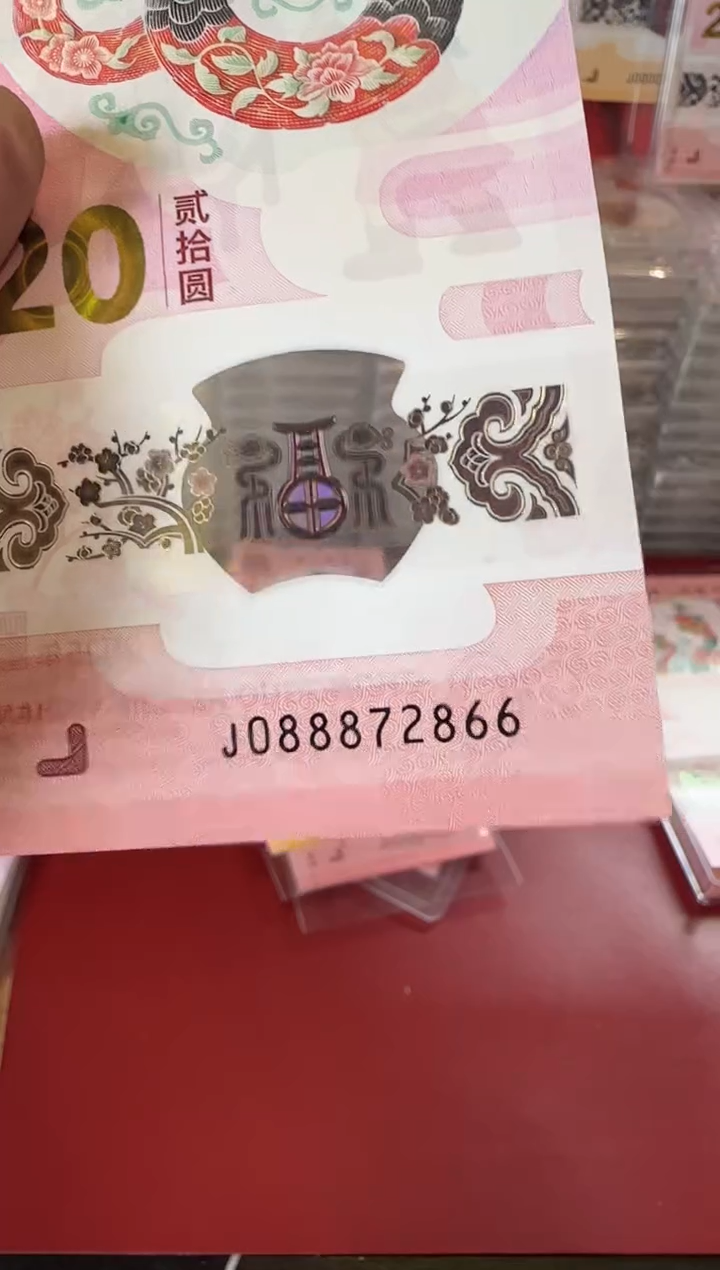 【闪购商品】塑料2025蛇钞单张裸啊啊啊啊啊啊