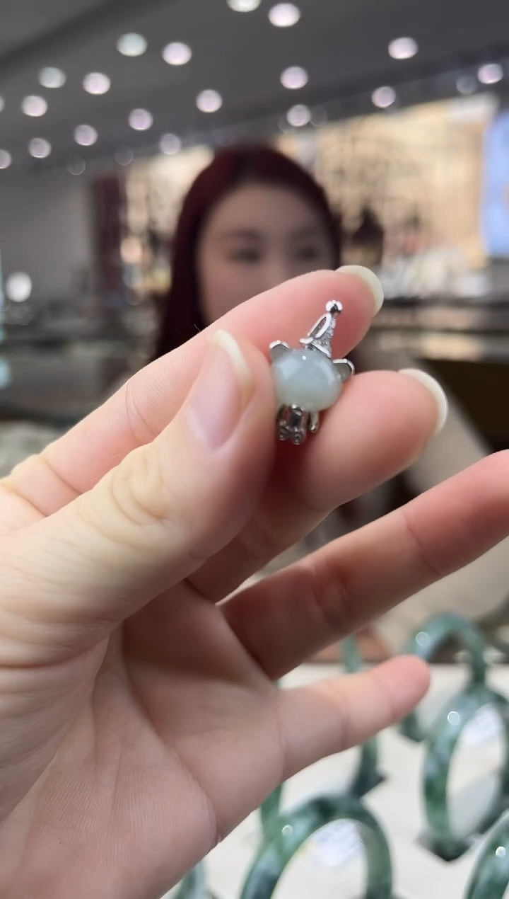 【闪购商品】翡翠吊坠(不含链)银S925镶嵌多样性发其一