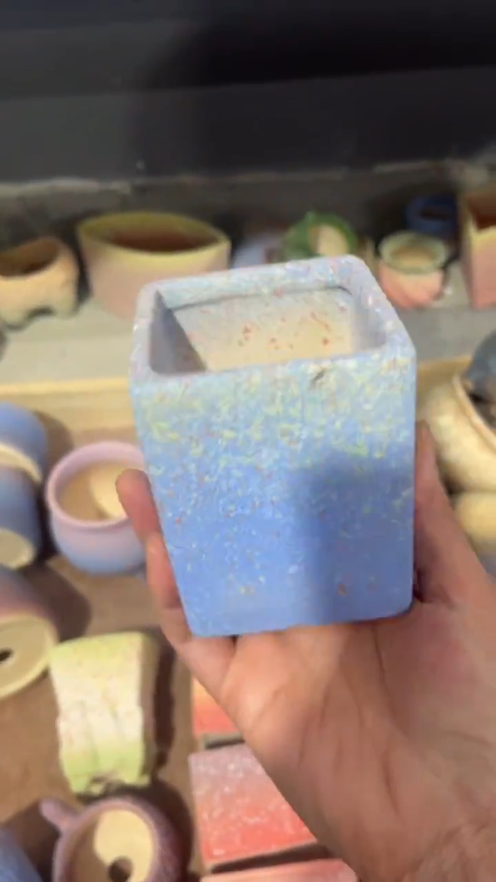 【闪购商品】红陶6*8