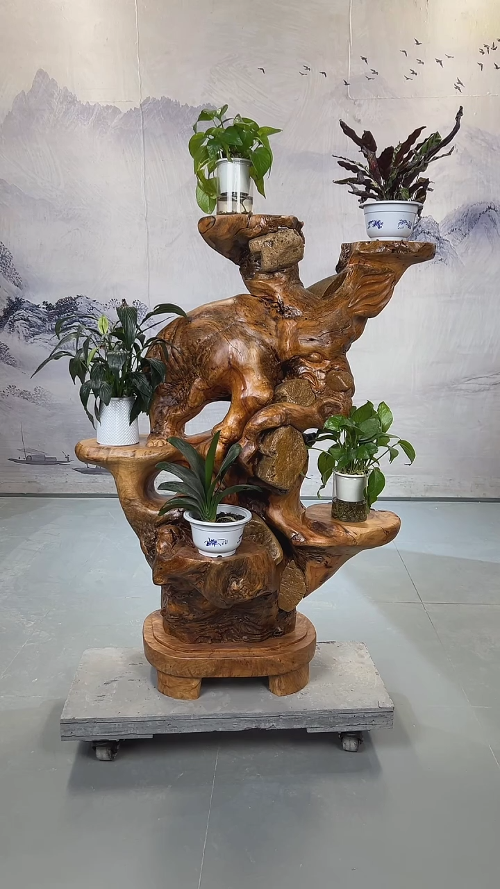 【闪购商品】香樟木香樟木根抱石花架