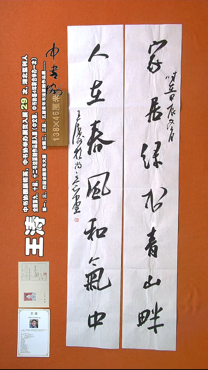 【闪购商品】书法339王涛书法作品