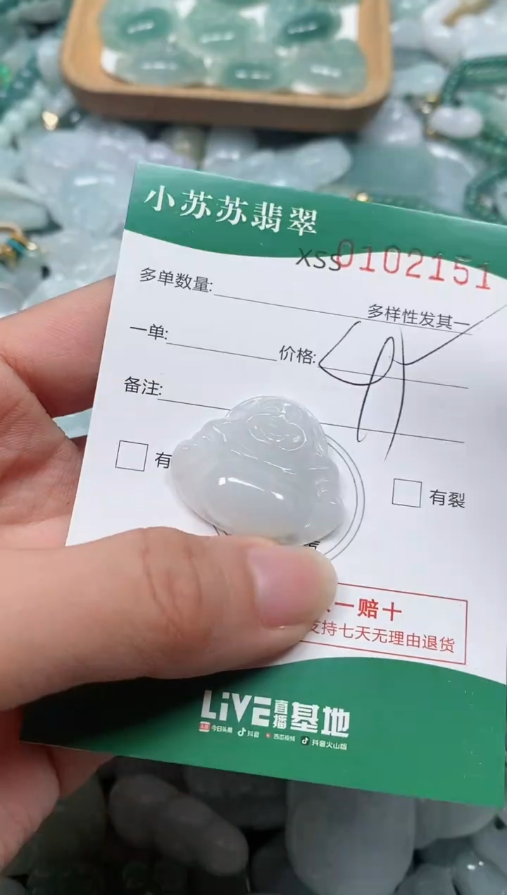 【闪购商品】翡翠颈饰未镶嵌闪购商品0102151