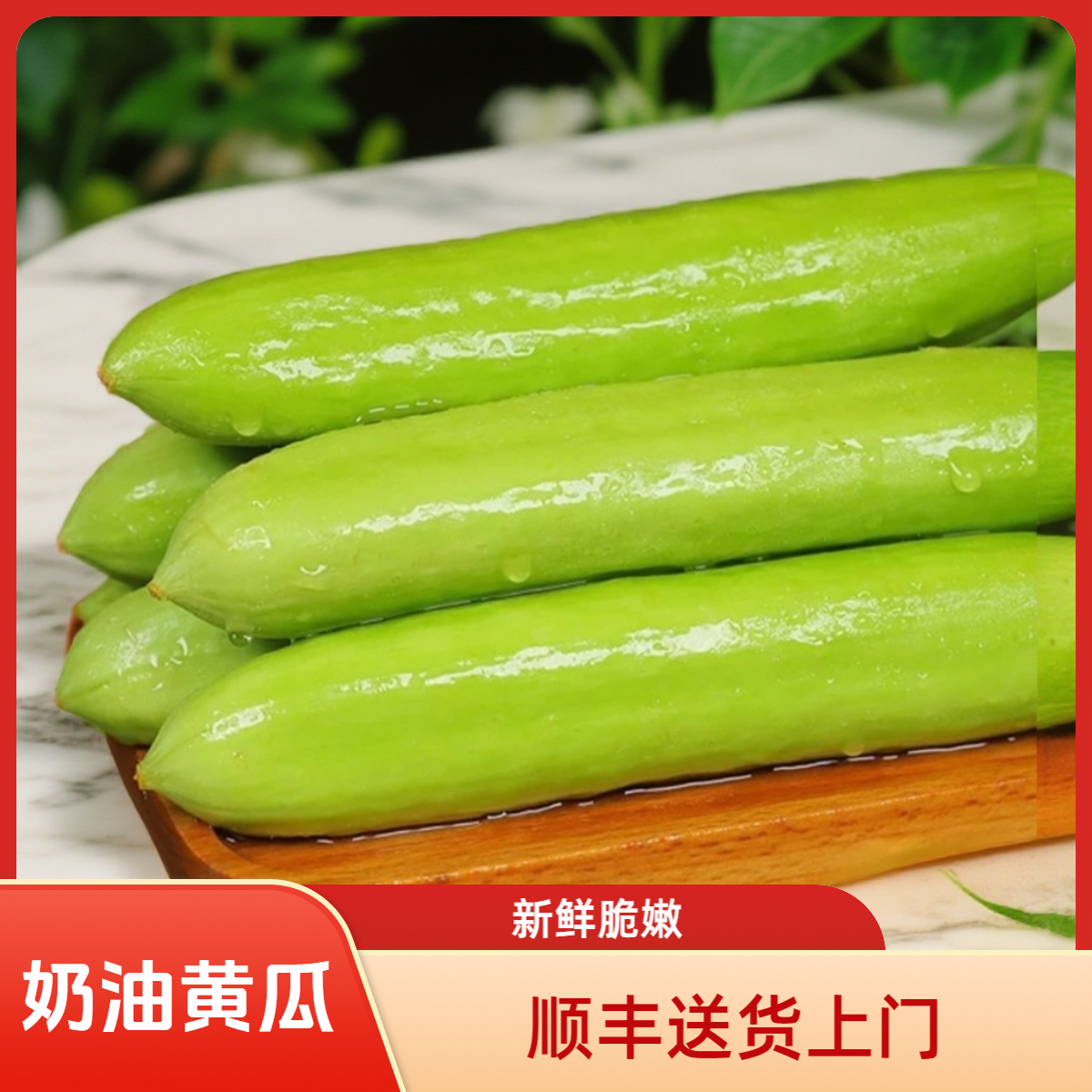 （顺丰）正宗农家翡翠奶油黄瓜水果黄瓜新鲜现货现发 脆爽老少皆宜