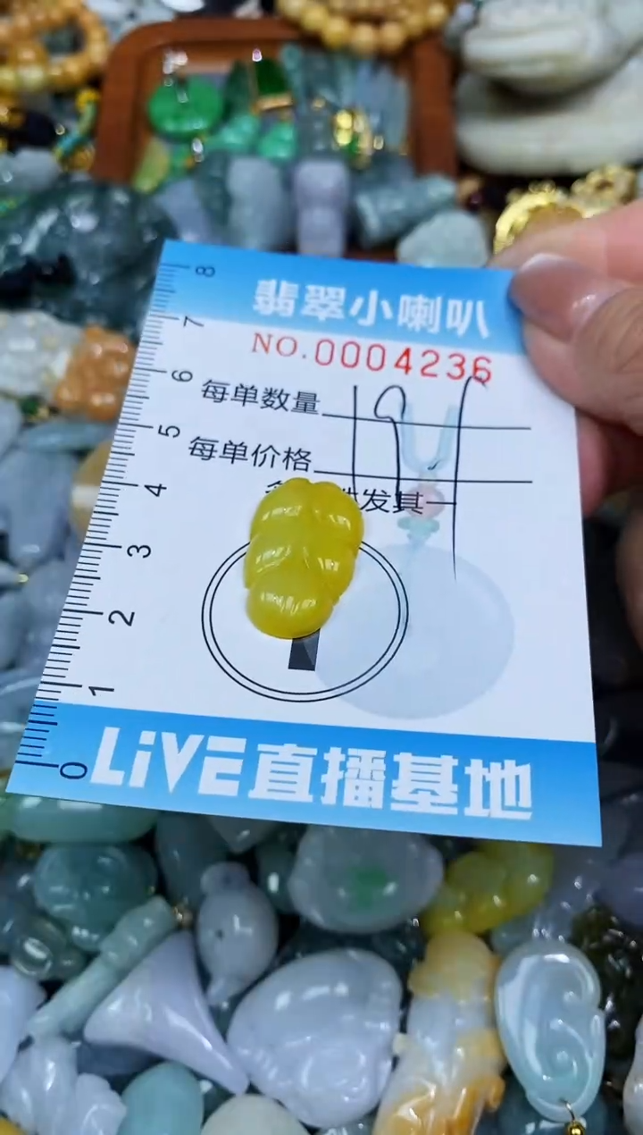 【闪购商品】翡翠颈饰未镶嵌闪购0004236