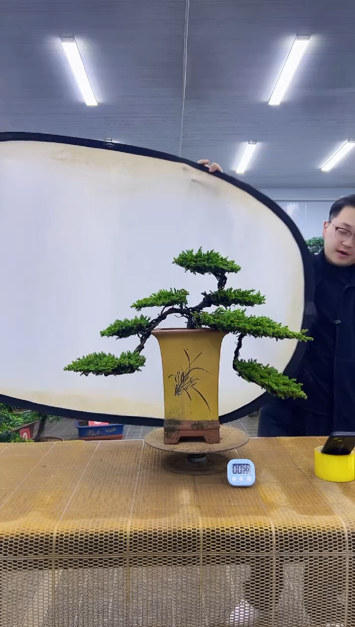 00000000000000000000000