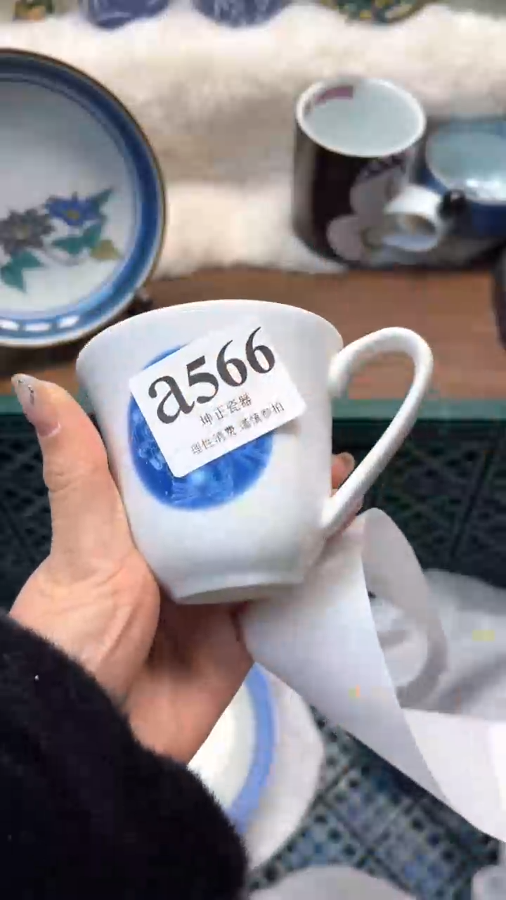 【闪购商品】瓷片          a566