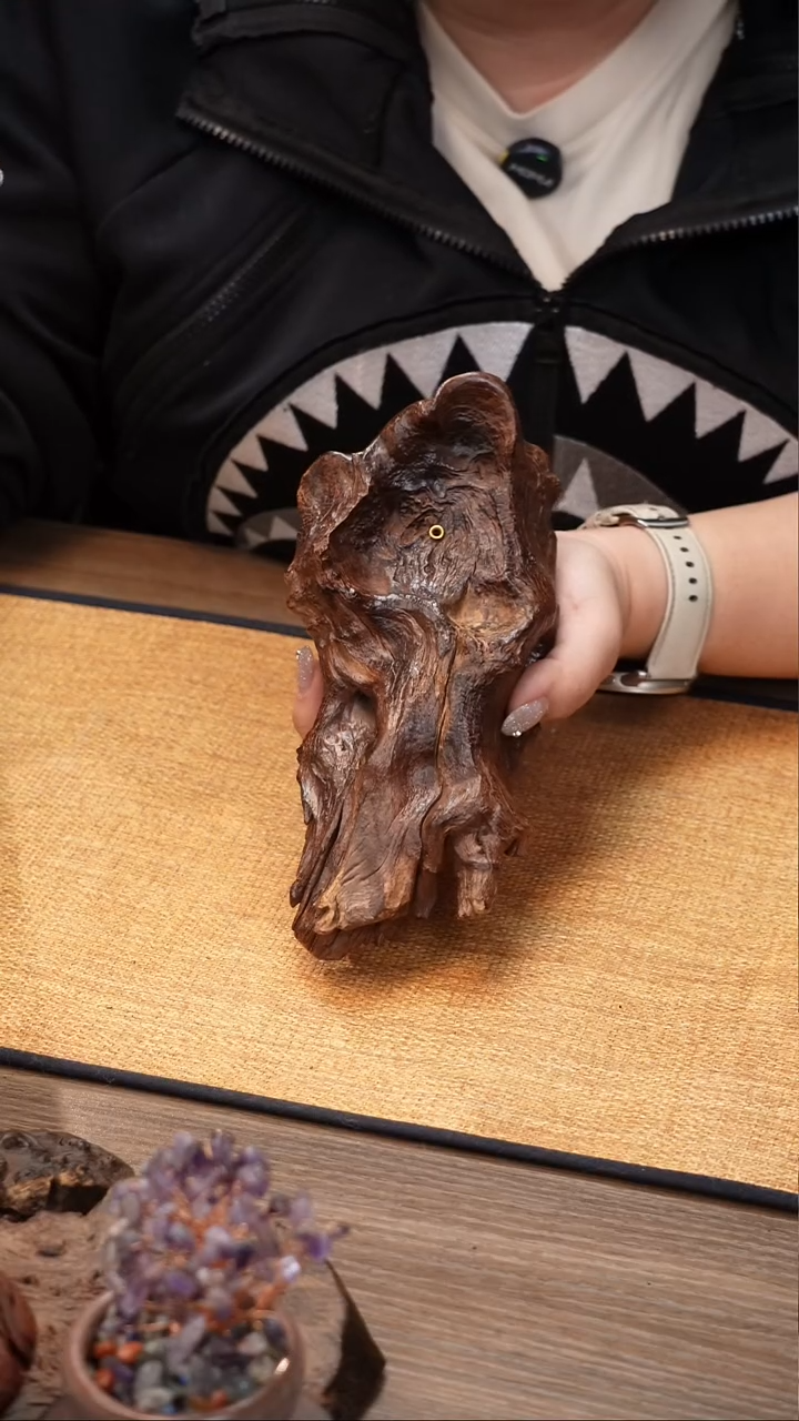 11号云小屋麻梨香插
