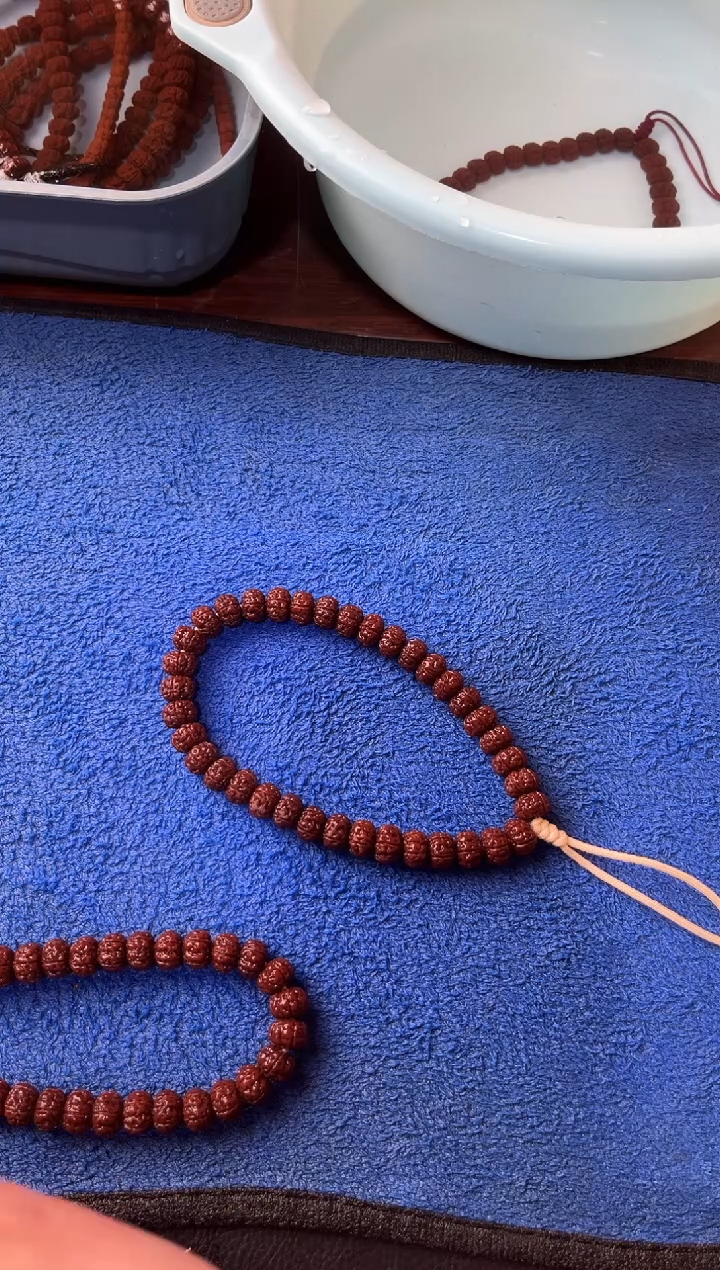 手串金刚菩提典*10+老树王