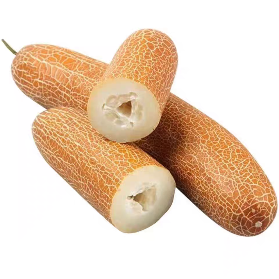 东北特产麻皮老黄瓜新鲜美味炖汤佳品