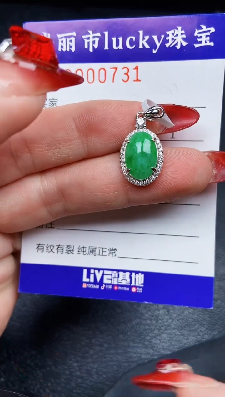 【闪购商品】翡翠颈饰银S925镶嵌0731