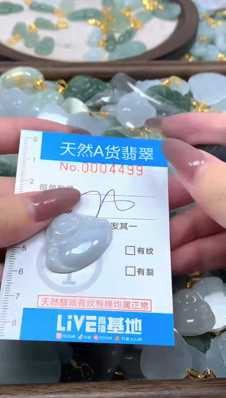 颈饰未镶嵌翡翠净货挂件-4499