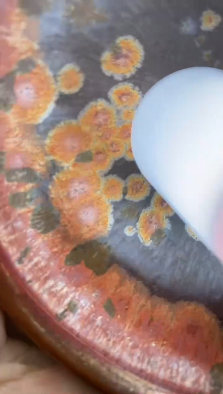 【闪购商品】茶盏409建盏建建盏建盏建盏