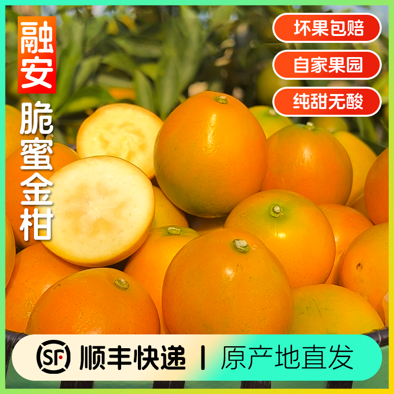 [5斤装] 融安脆蜜金桔三代 广西脆蜜金柑 金桔新品种纯甜新鲜水果