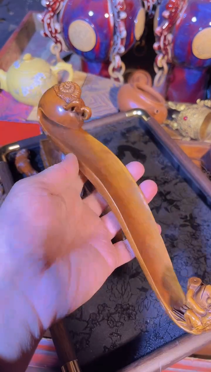 黄杨木1111111111111111111