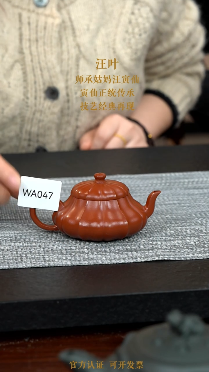 【闪购商品】紫砂茶壶WA047-0121YW