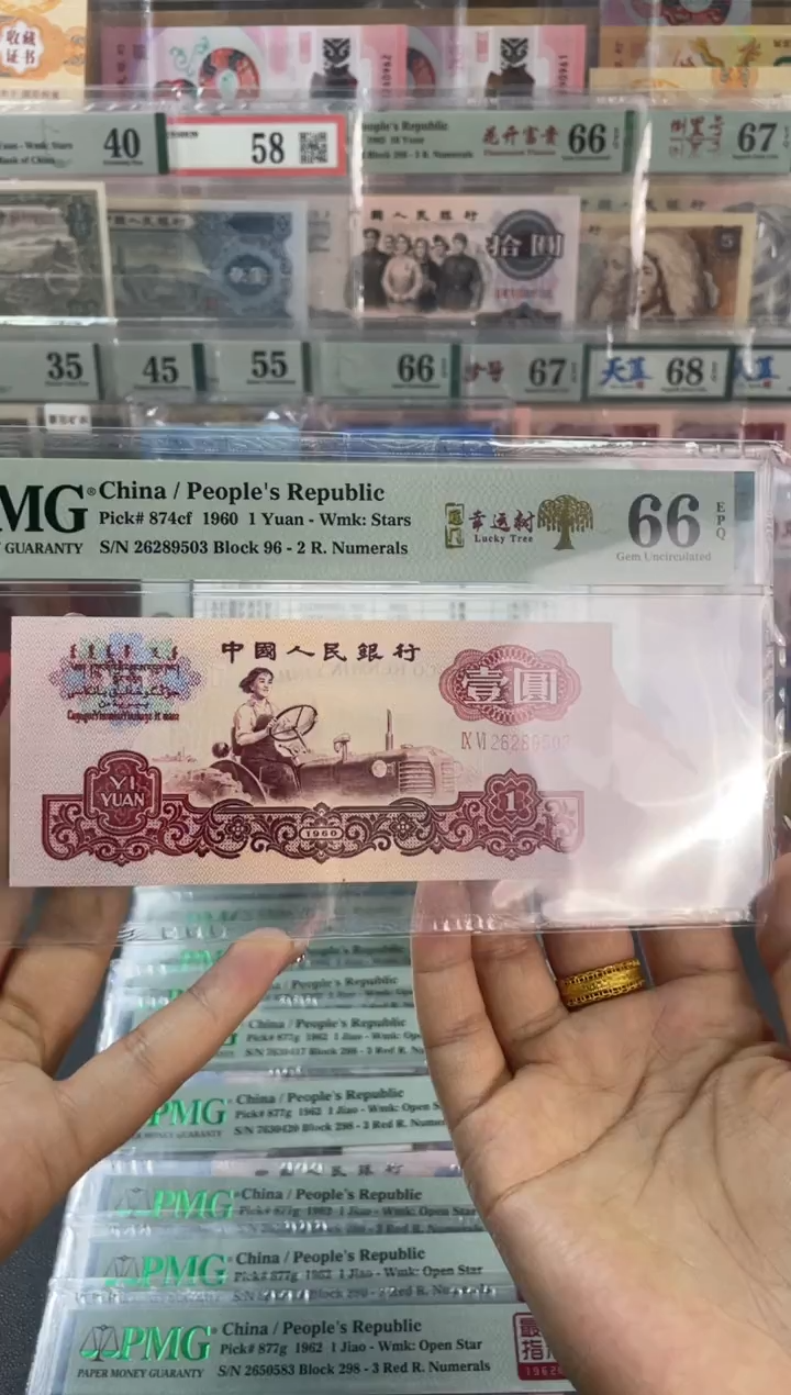 幸运树 壹元 PMG66分 尾503