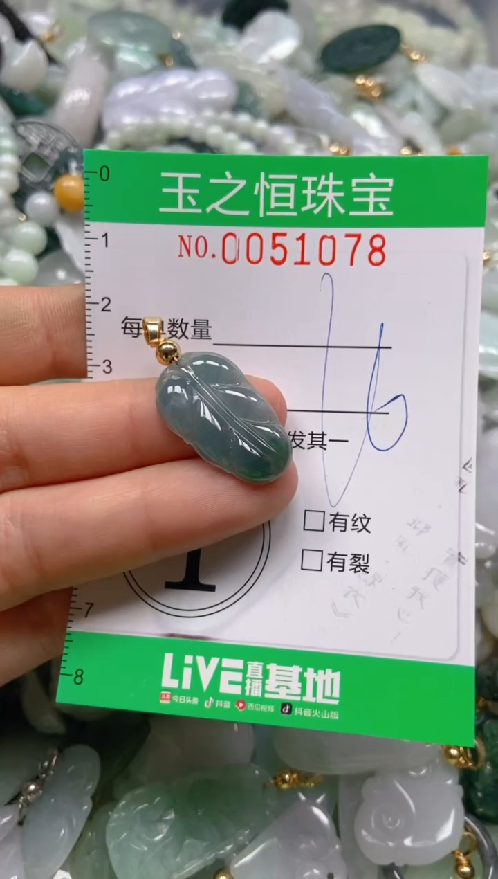 【闪购商品】翡翠颈饰未镶嵌闪购0051078