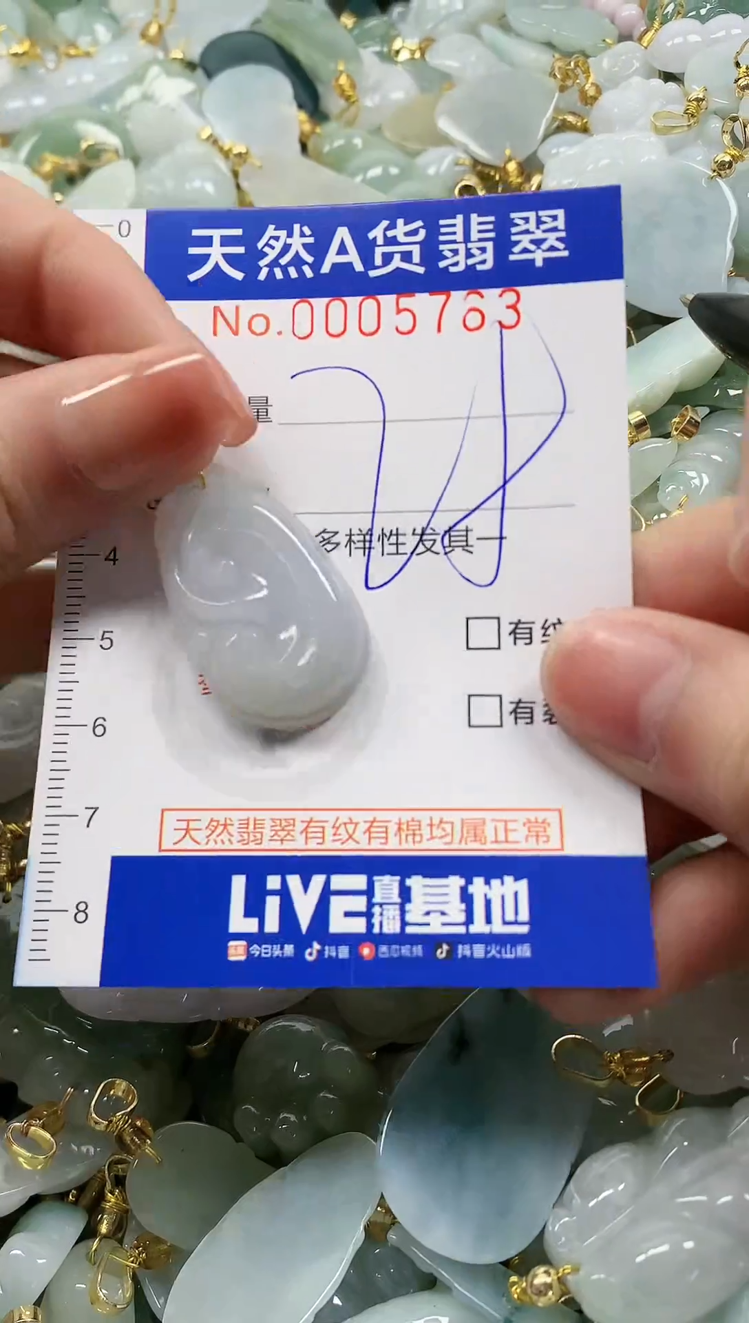 颈饰未镶嵌翡翠纯天然a货翡翠