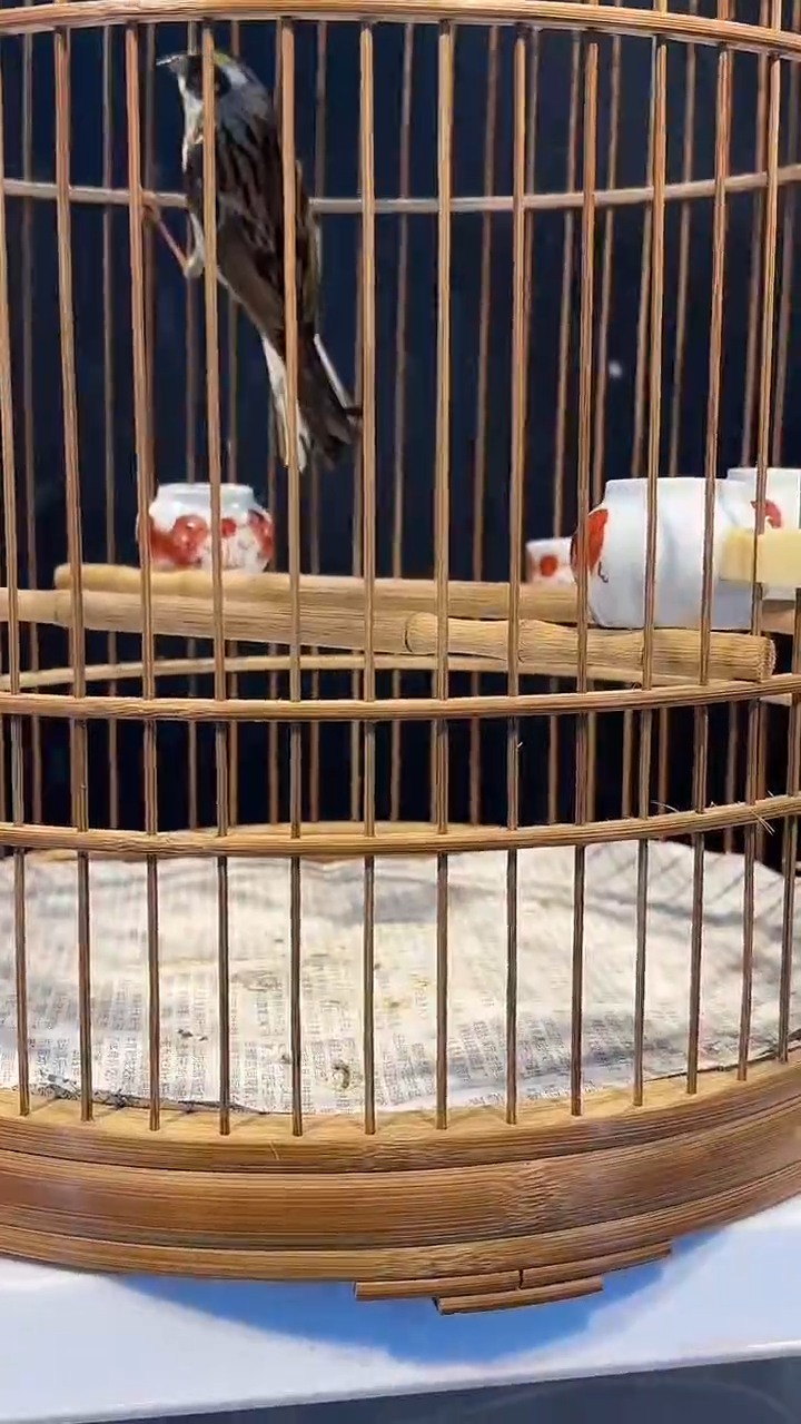 76号  虎头凤养笼  0元起拍