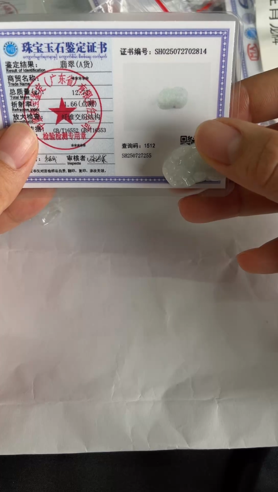 翡翠未镶嵌颈饰貔貅