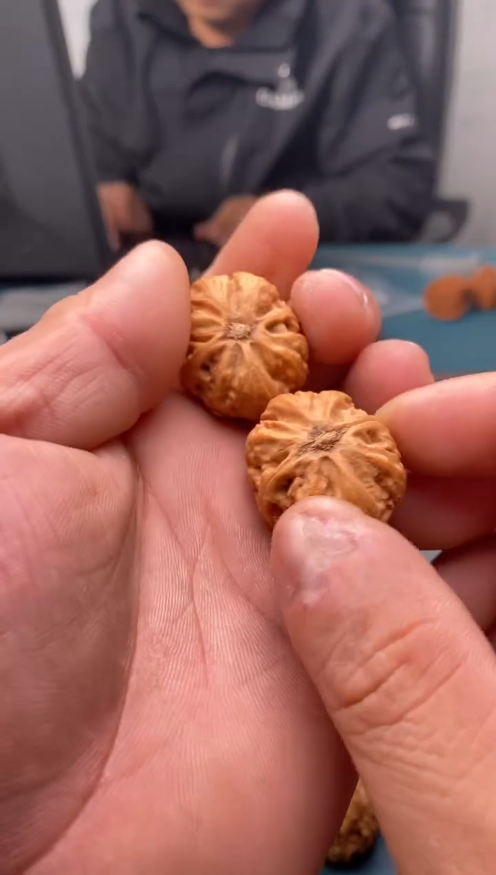 把件文玩核桃霸王龙130
