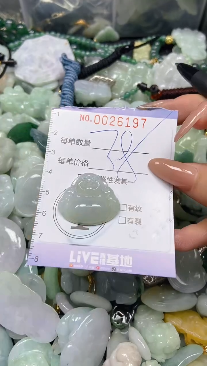 【闪购商品】翡翠颈饰未镶嵌闪购0026197
