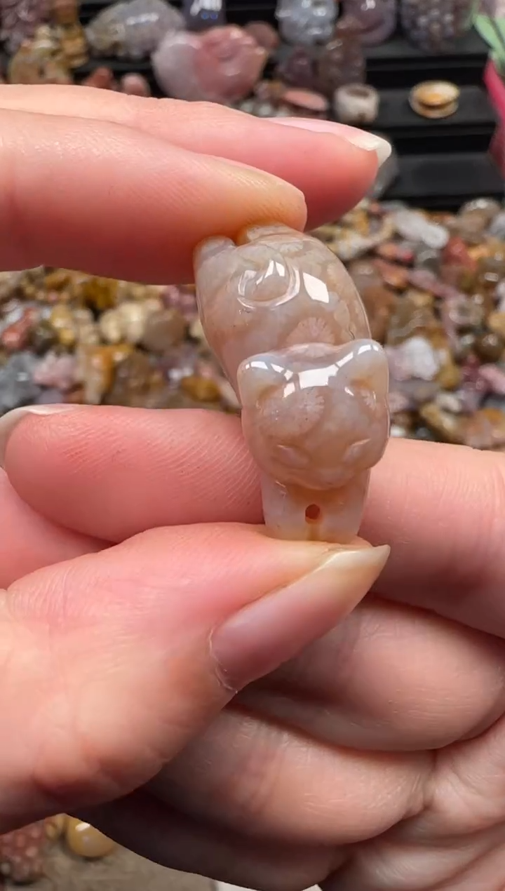 颈饰未镶嵌硅化珊瑚（珊瑚玉）670