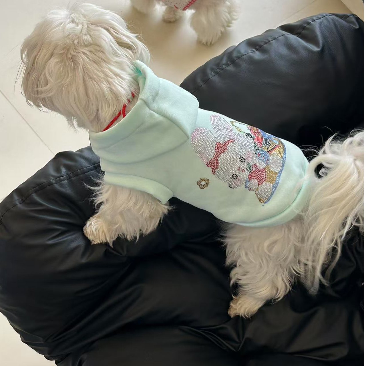 狗狗衣服青色小兔烫钻小型犬宠物服装春夏新款