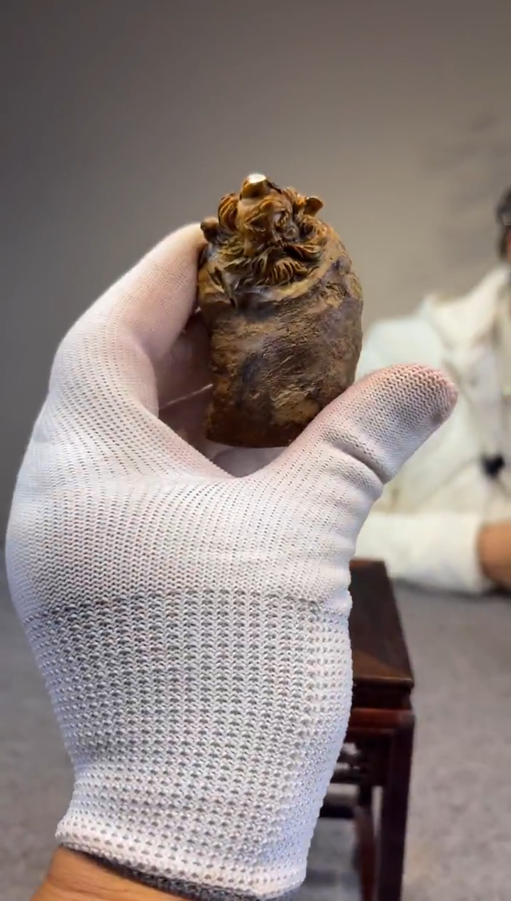 木光****裙贡木贡木贡木