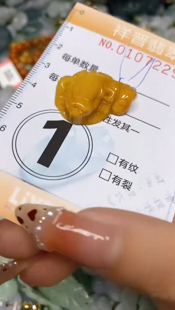 【闪购商品】翡翠颈饰未镶嵌闪购0107229