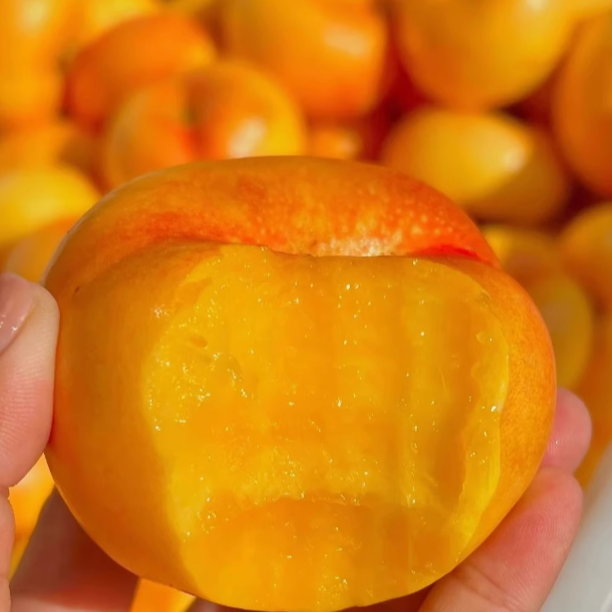 【红星电商中心】正宗黄金油蟠桃3斤装新鲜水果【顺丰包邮次日达】 桃子同城送山东省