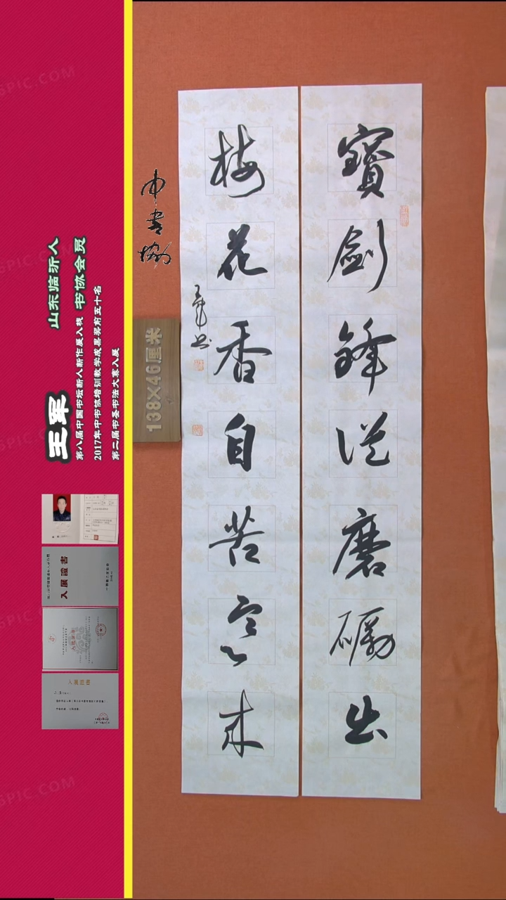 【闪购商品】书法69王军书法作品