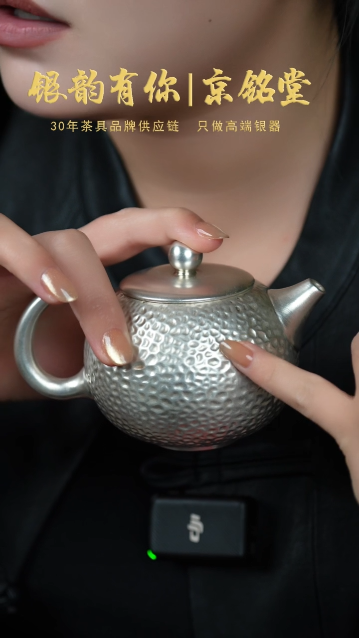 【闪购商品】锤纹壶..............